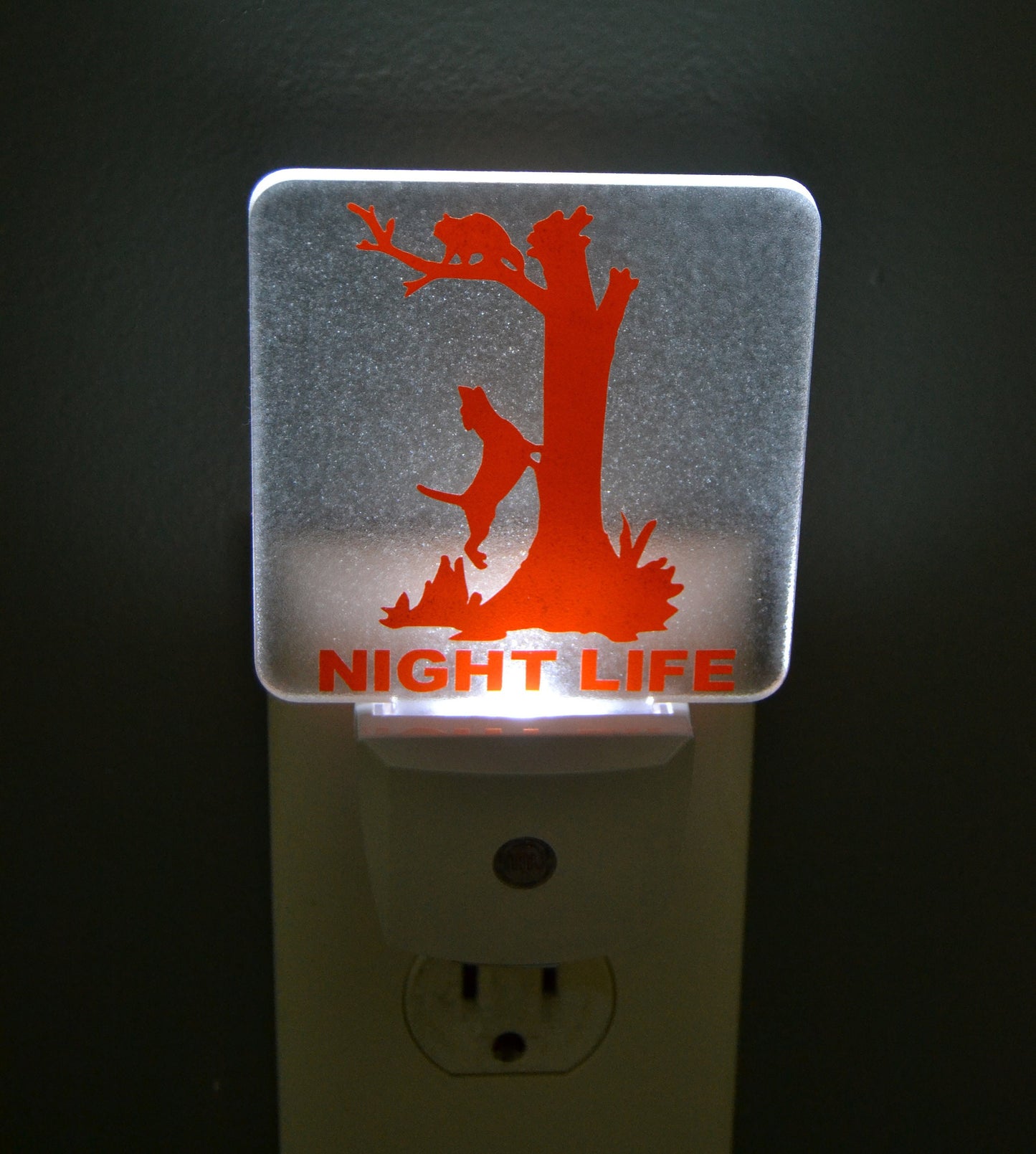 Coon Hunting Night Life Hound Treeing Raccoon Night Light - coonhoundin