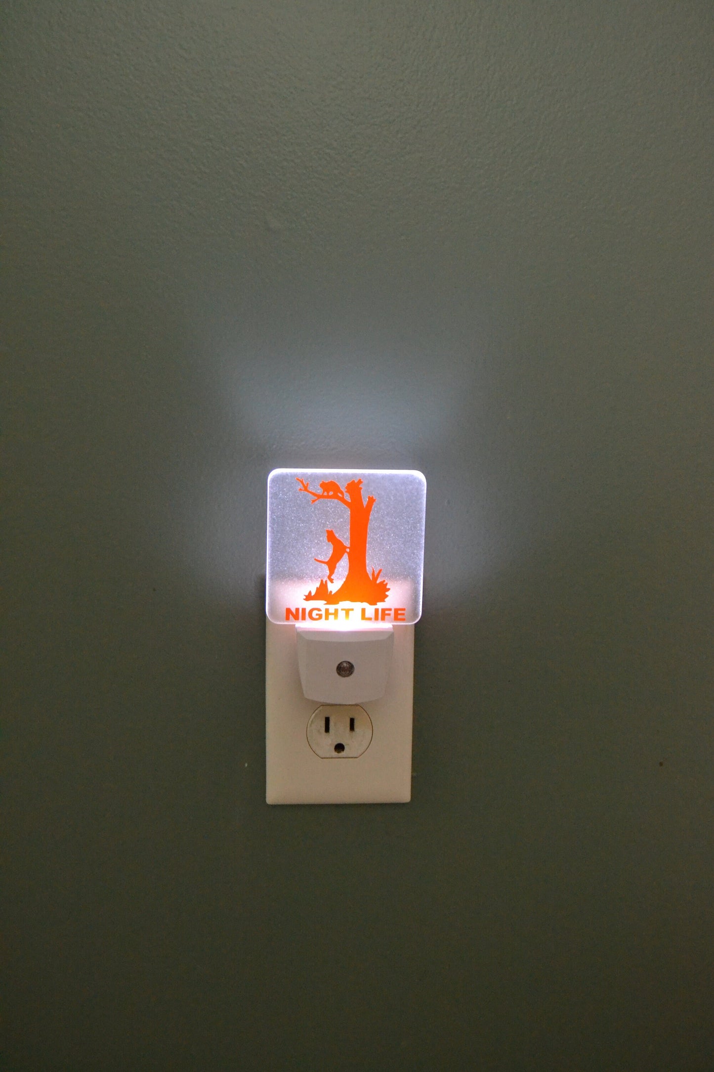 Coon Hunting Night Life Hound Treeing Raccoon Night Light - coonhoundin