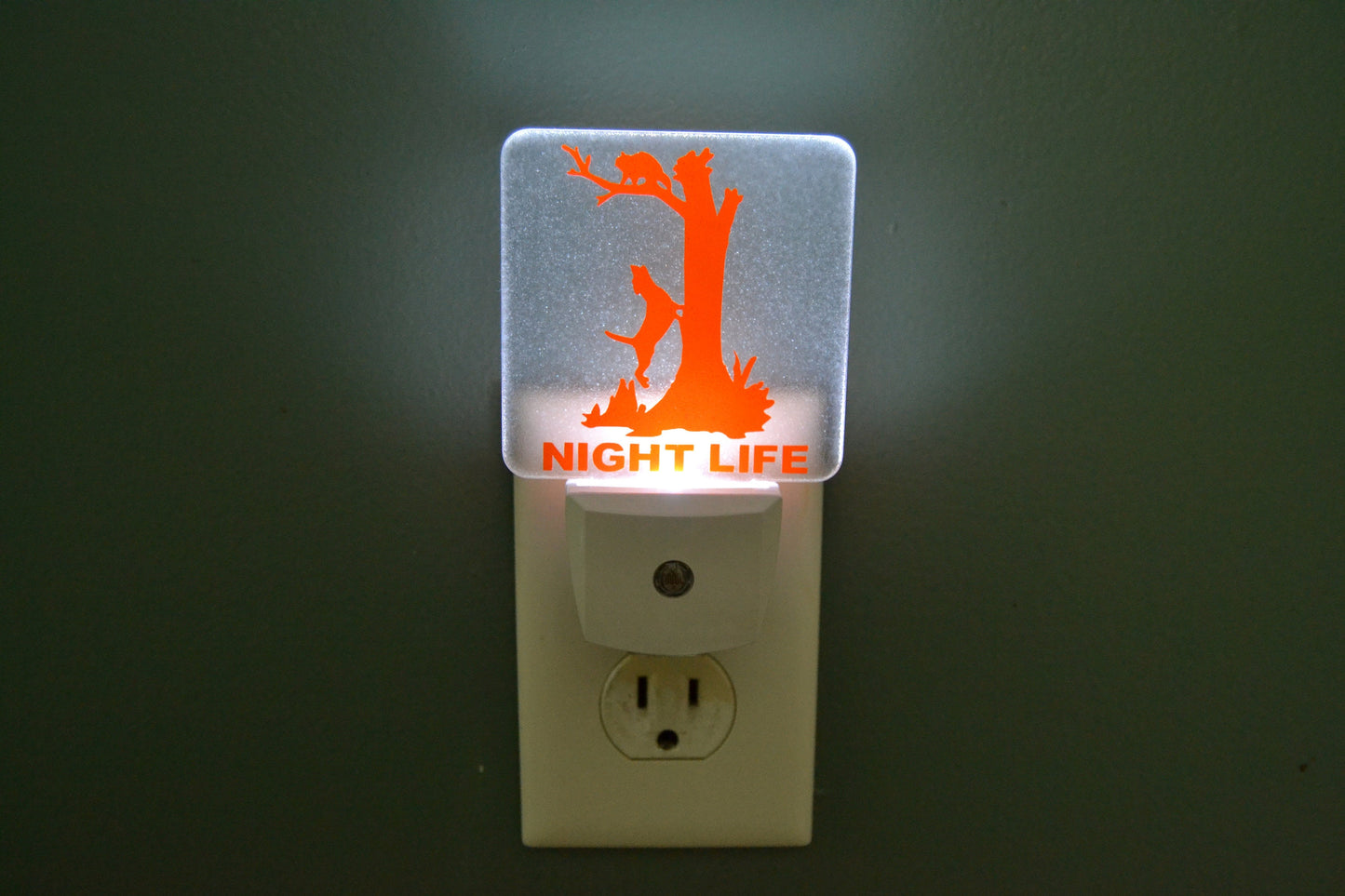 Coon Hunting Night Life Hound Treeing Raccoon Night Light - coonhoundin