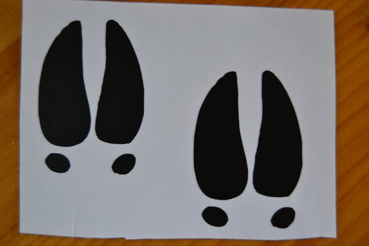 Deer Hunting Outdoor Vinyl Deer Tracks Decal Sticker - coonhoundin