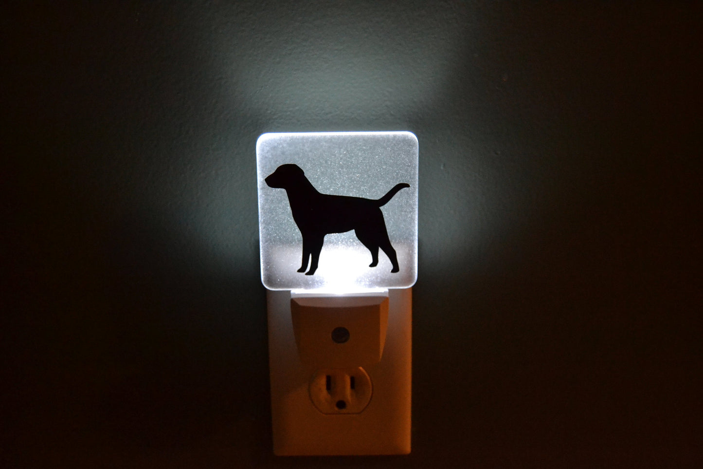 Dog Black Lab Night Light